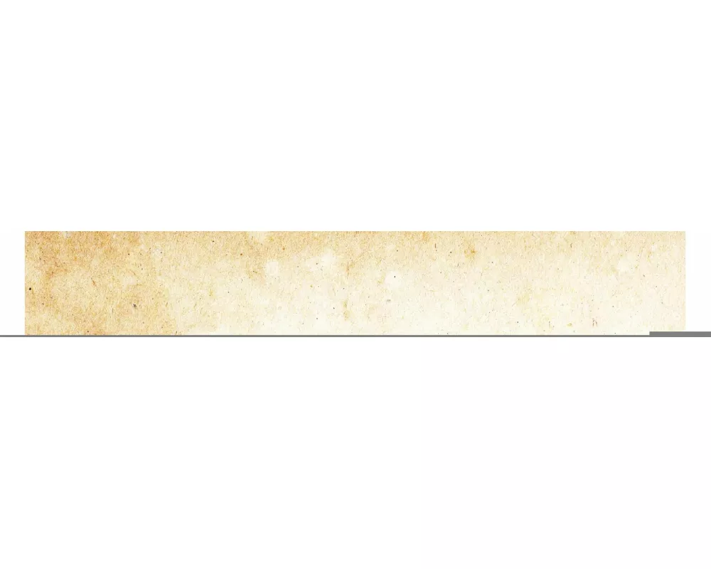 Evolution und Schöpfung in neuer Sicht