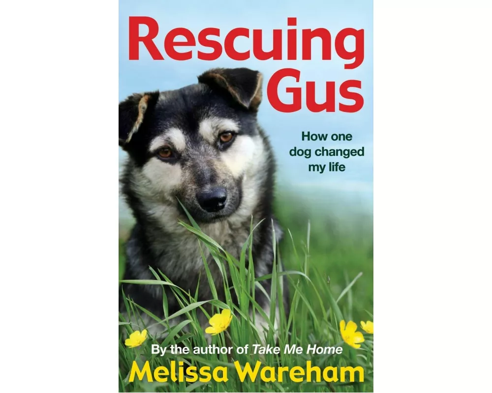 Rescuing Gus
