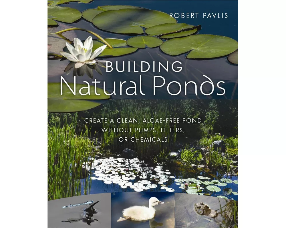 Building Natural Ponds