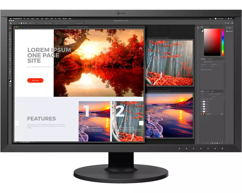 EIZO Monitor CS2740-Swiss Edition