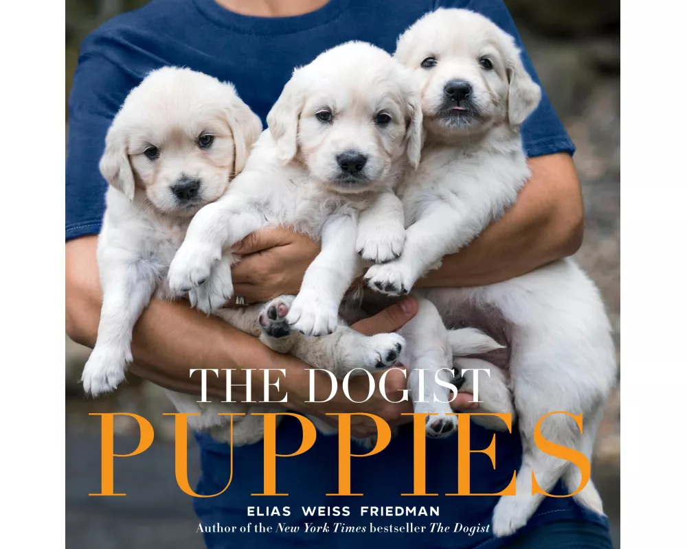 The Dogist Puppies