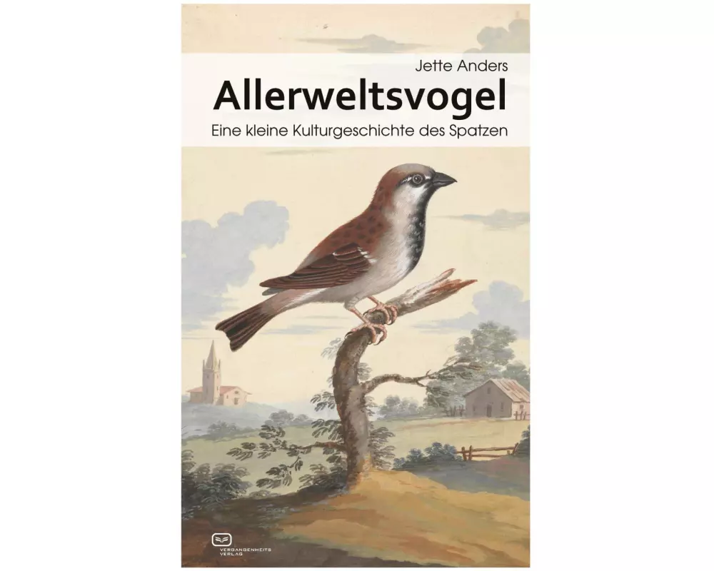 Allerweltsvogel