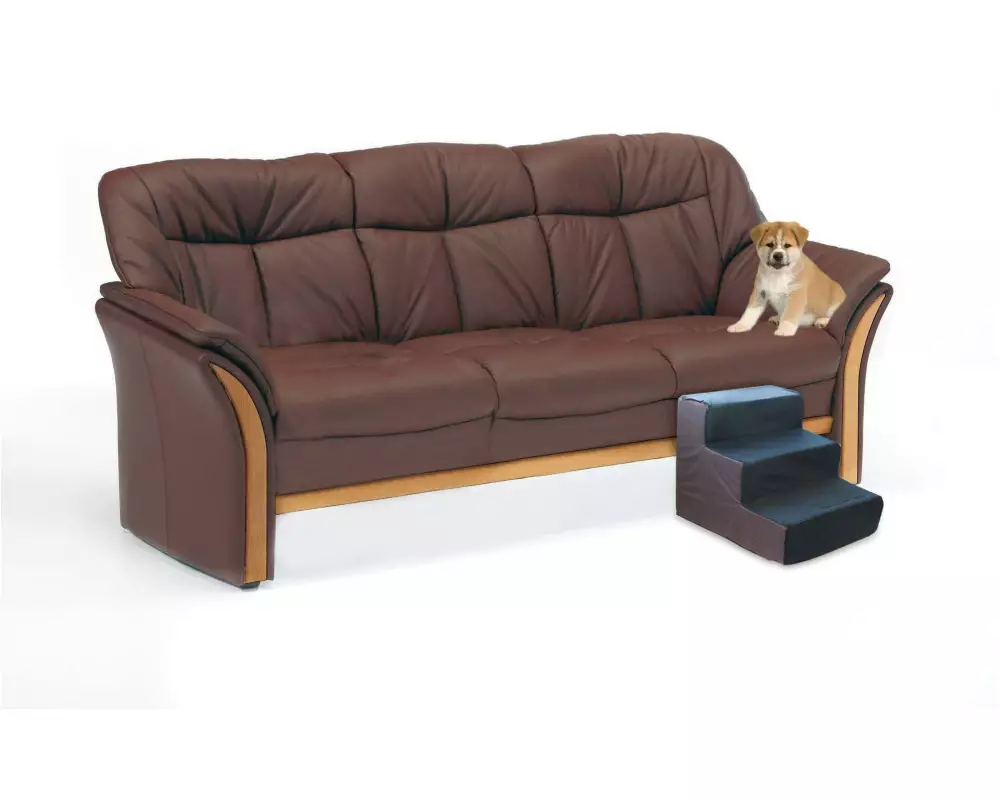 SwissPet Treppe Tibbo für Katzen & Hunde