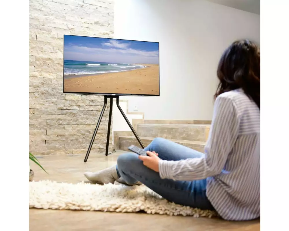 Hama Technics AG TV-Ständer (Staffelei) 75" Schwarz
