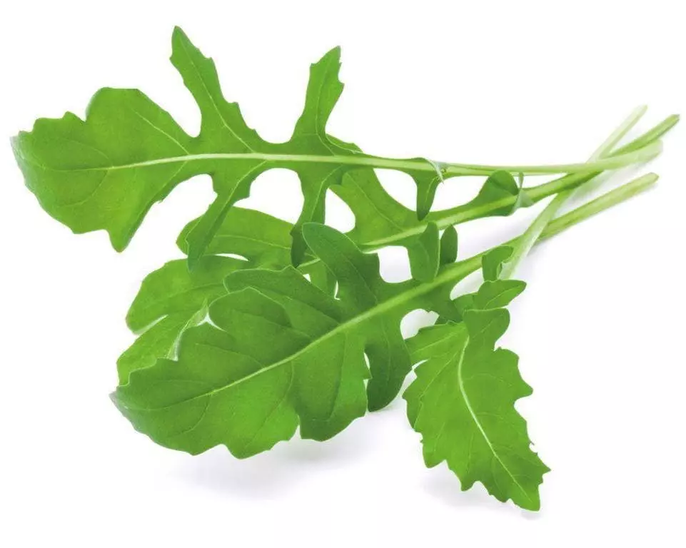 Click and Grow Samen Rucola Nachfüllpackung 3er-Set