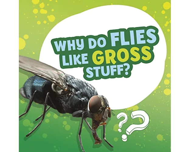 Why Do Flies Like Gross Stuff?