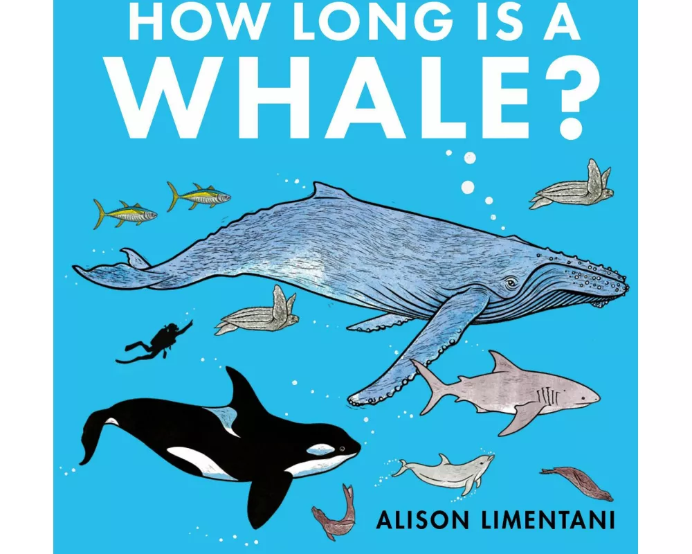 How Long is a Whale?