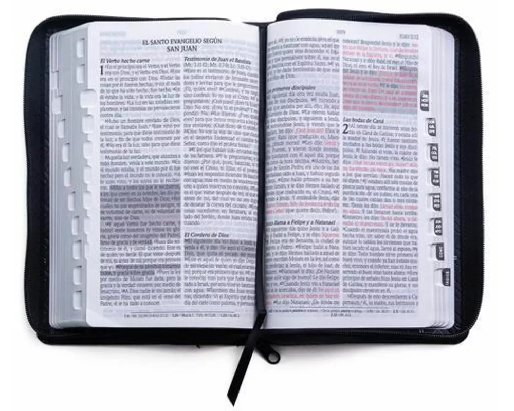 Santa Biblia de Promesas Reina Valera 1960 / Tamaño Manual / Letra Grande / Piel Especial Con Índice Y Cierre / Negra // Spanish Promise Bible Rvr60 /