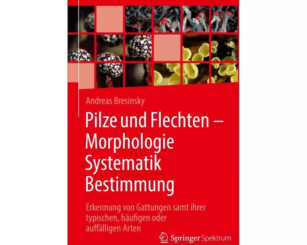 Pilze und Flechten – Morphologie, Systematik, Bestimmung