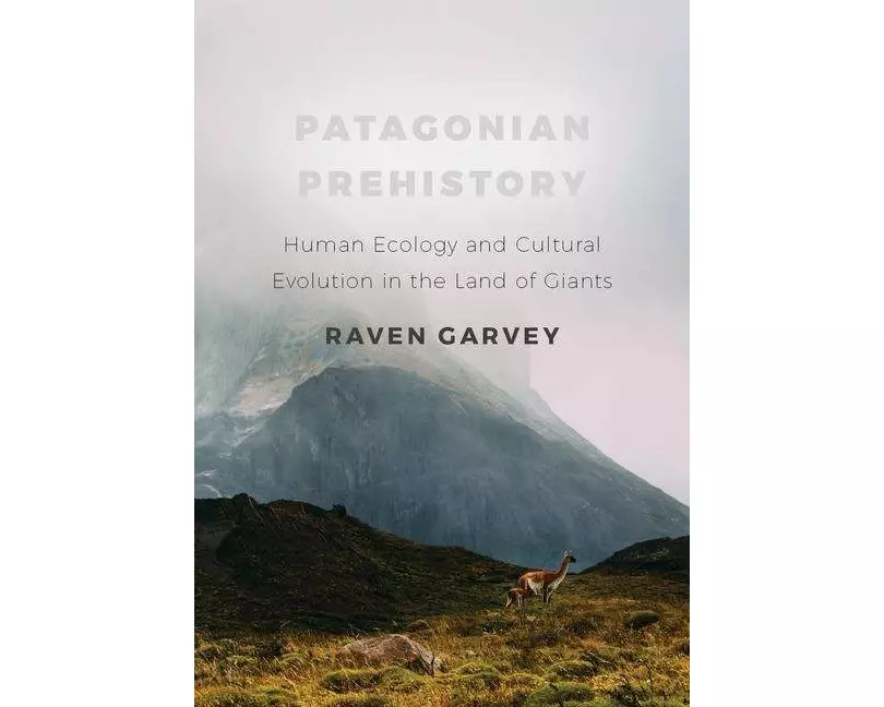 Patagonian Prehistory