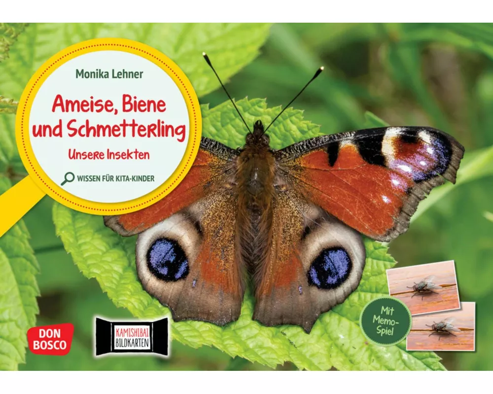 Ameise, Biene und Schmetterling. Unsere Insekten. Kamishibai Bildkarten und Memo-Spiel