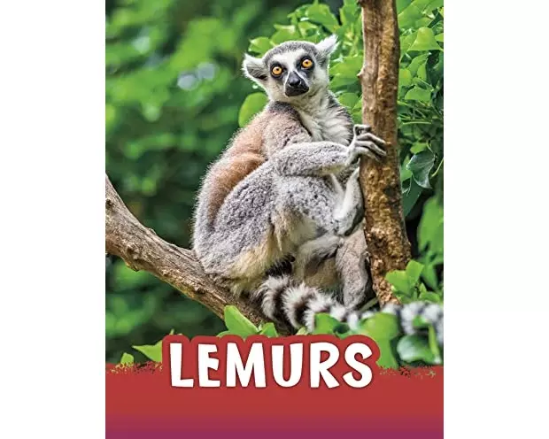 Lemurs