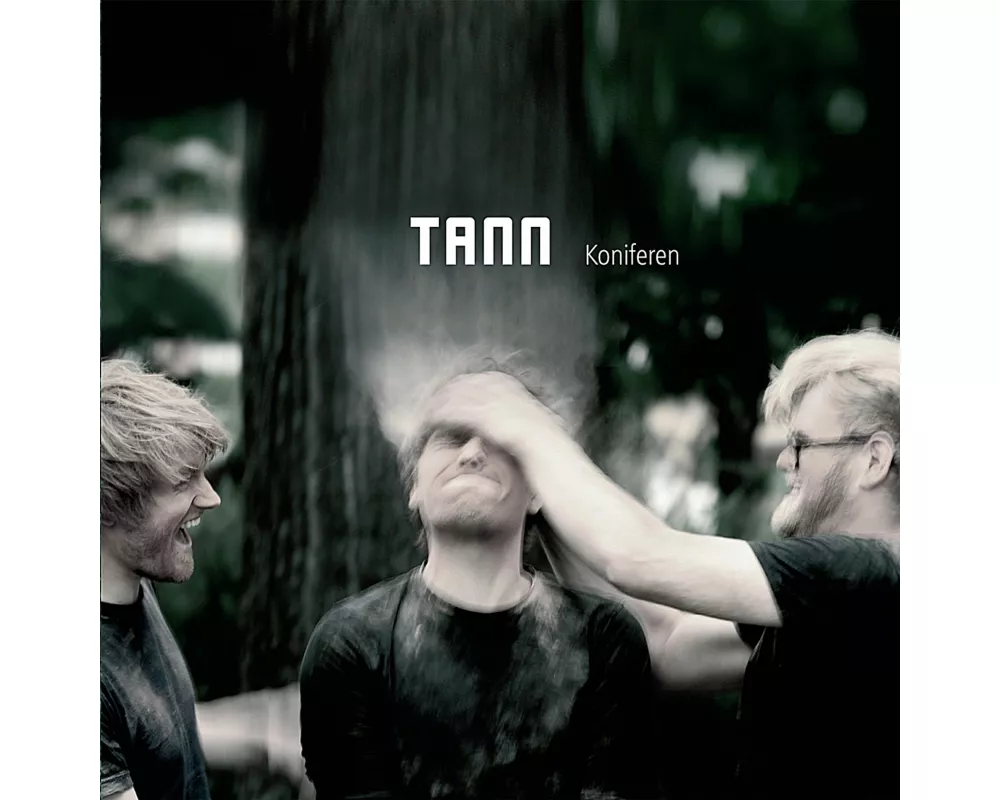 Koniferen