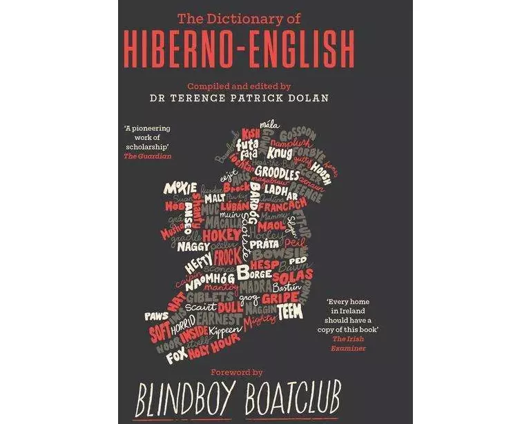 A Dictionary of Hiberno English