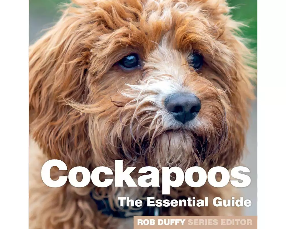 Cockerpoos