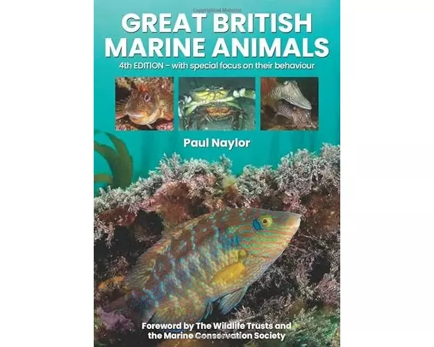 Great British Marine Animals