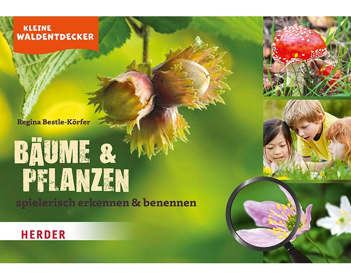 Kleine Waldentdecker: Bäume & Pflanzen