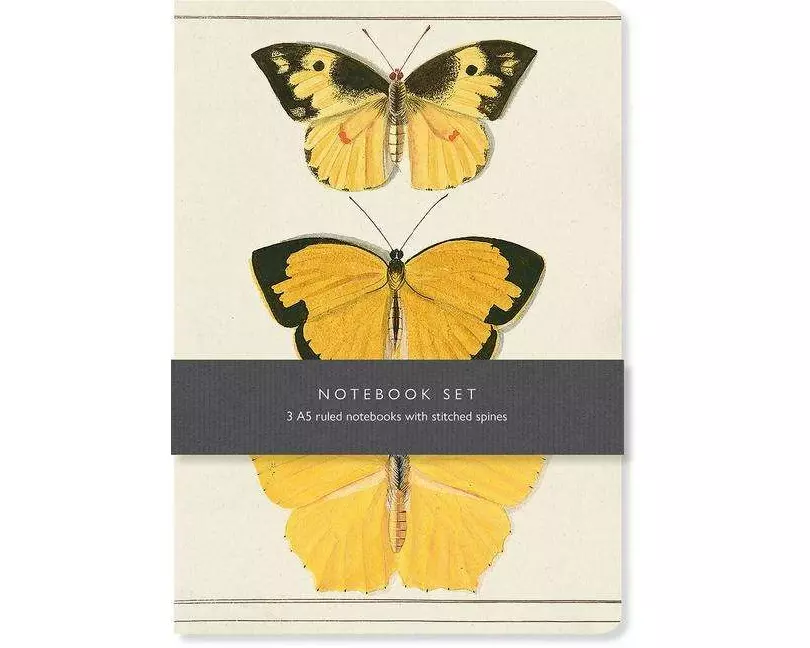 Butterfly Notebook Set