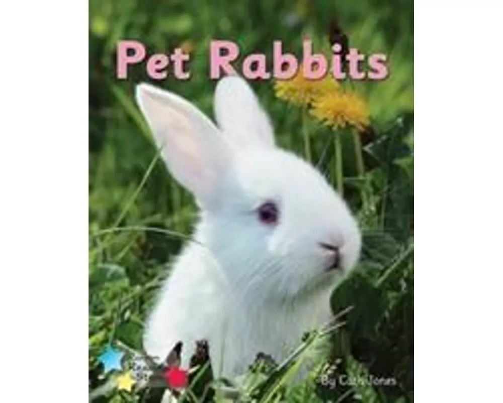 Pet Rabbits
