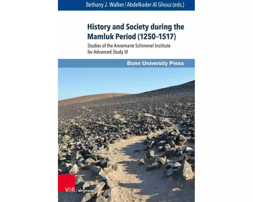 History and Society during the Mamluk Period (1250-1517)
