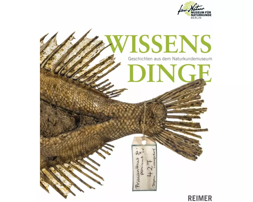 Wissensdinge