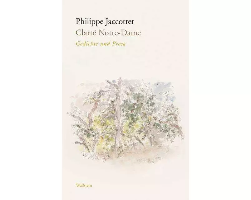 Clarté Notre-Dame