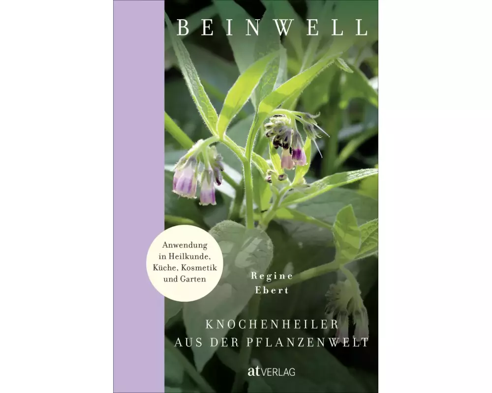 Beinwell