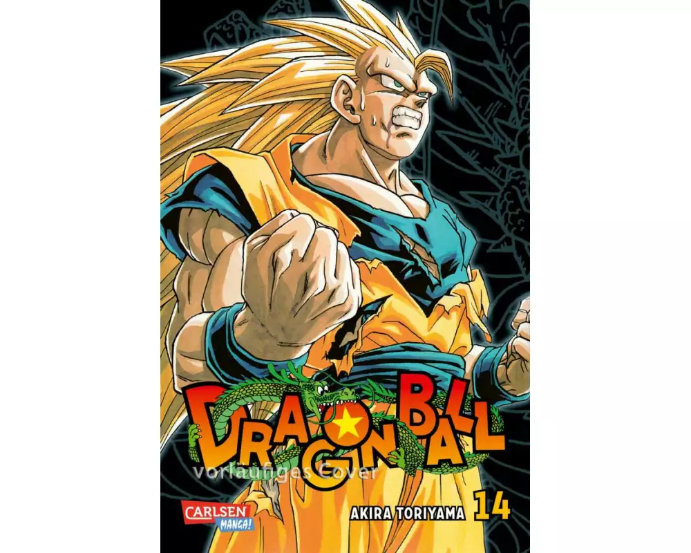 Dragon Ball Massiv 14