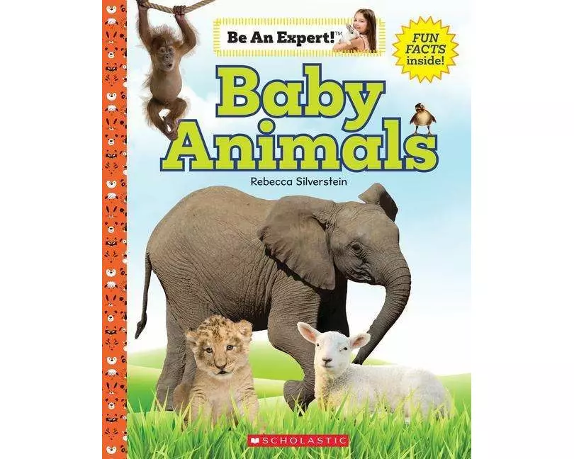 Baby Animals (Be an Expert!)