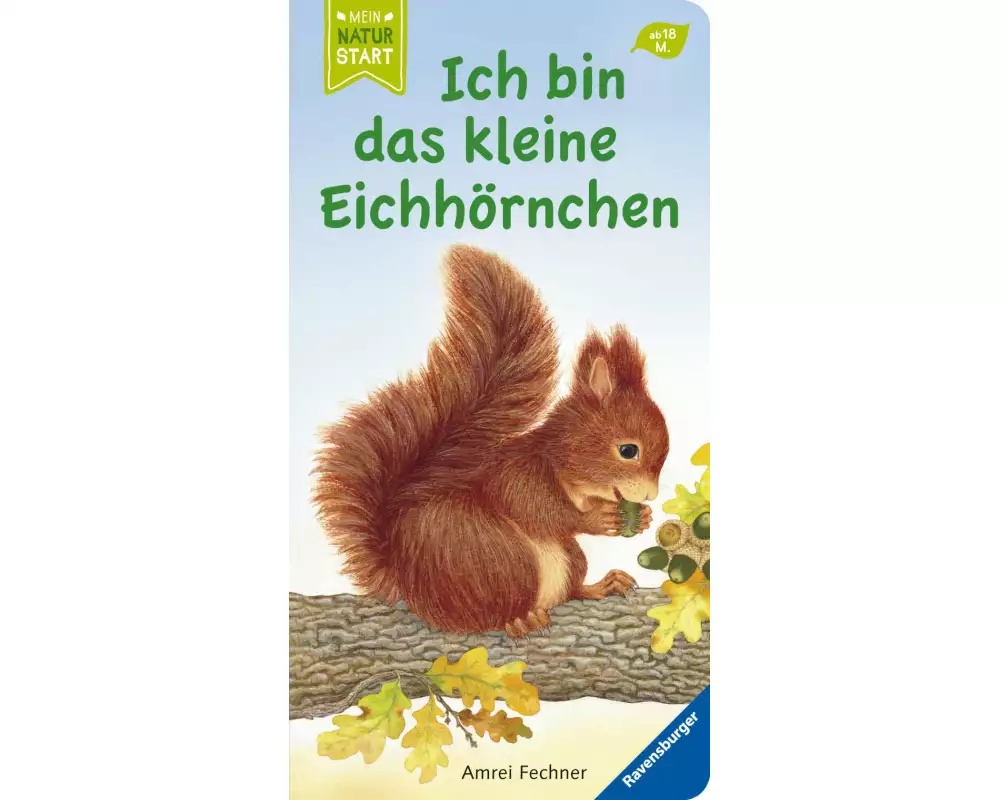 Ich bin das kleine Eichhörnchen