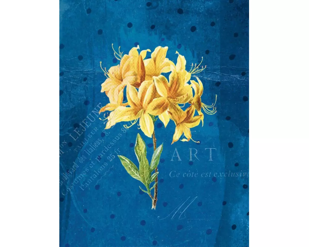 Die Gärten der Künstler Großes Notizheft Motiv Gelbe Orchidee