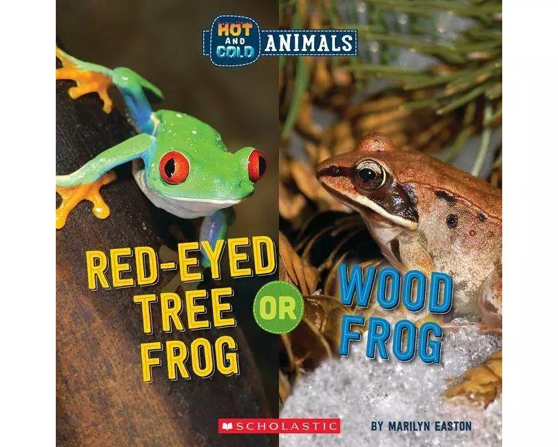 Red-Eyed Tree Frog or Wood Frog (Wild World: Hot and Cold Animals)