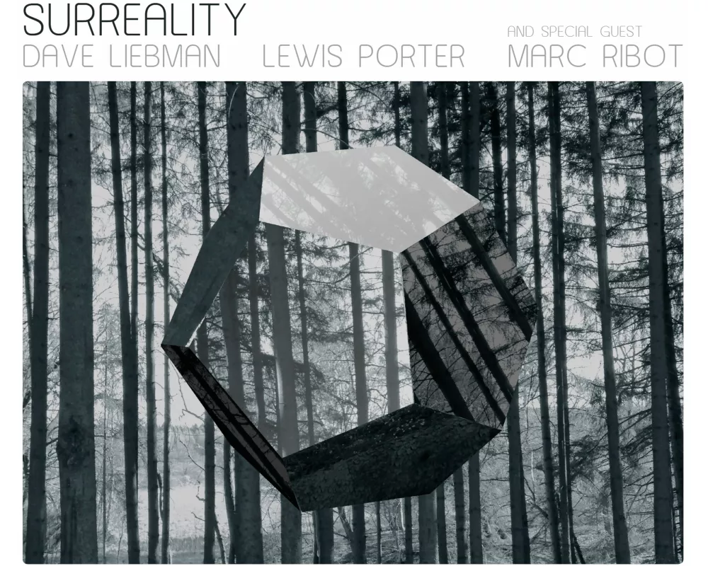 Surreality
