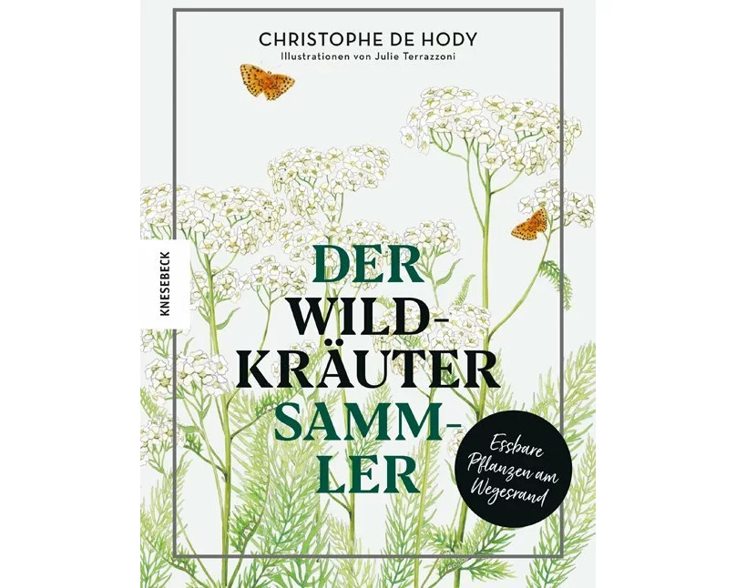 Der Wildkräutersammler