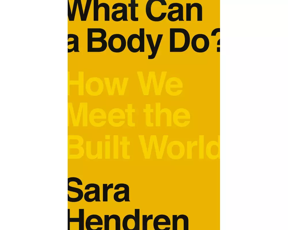 What Can a Body Do?
