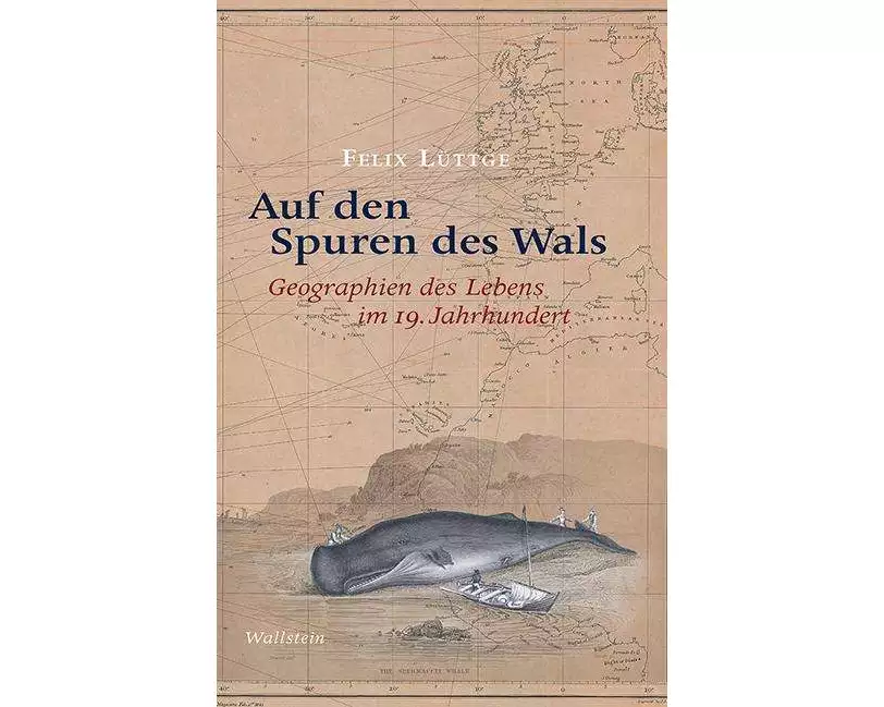 Auf den Spuren des Wals