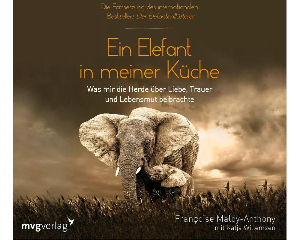 Ein Elefant in meiner Kche