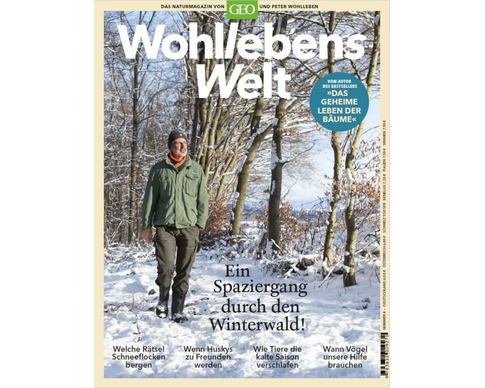 Wohllebens Welt / Wohllebens Welt 4/2019 - Ein Spaziergang durch den Winterwald