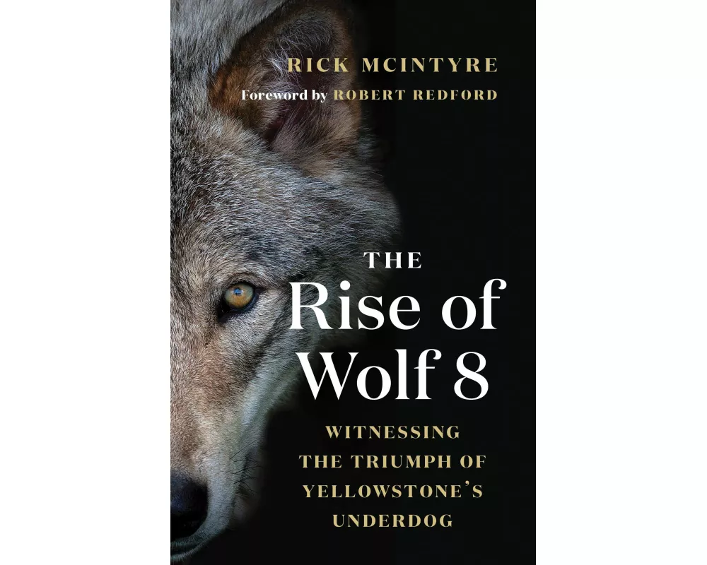 The Rise of Wolf 8