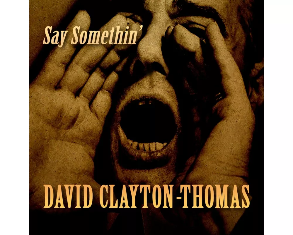 Say Somethin'