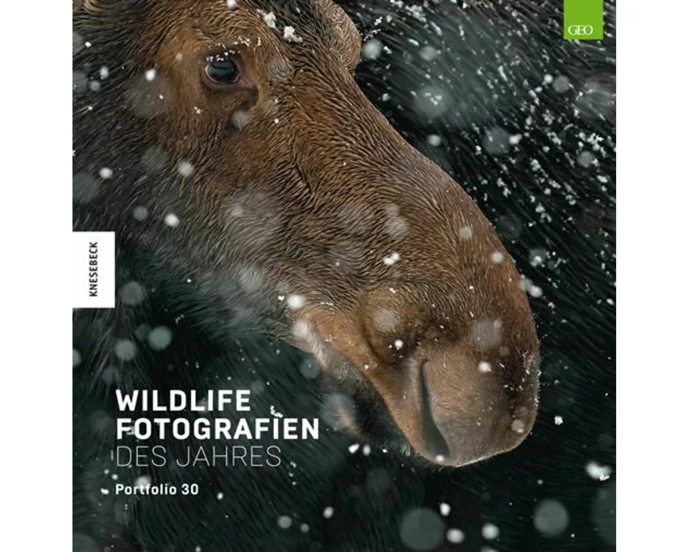 Wildlife Fotografien des Jahres – Portfolio 30