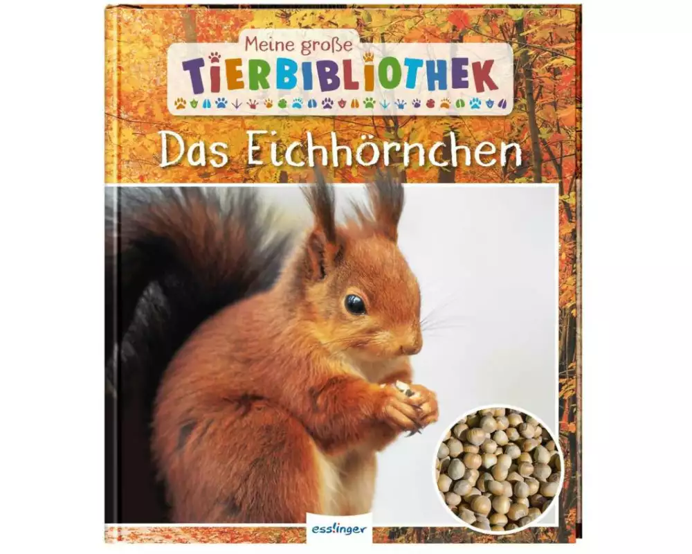 Meine große Tierbibliothek: Das Eichhörnchen