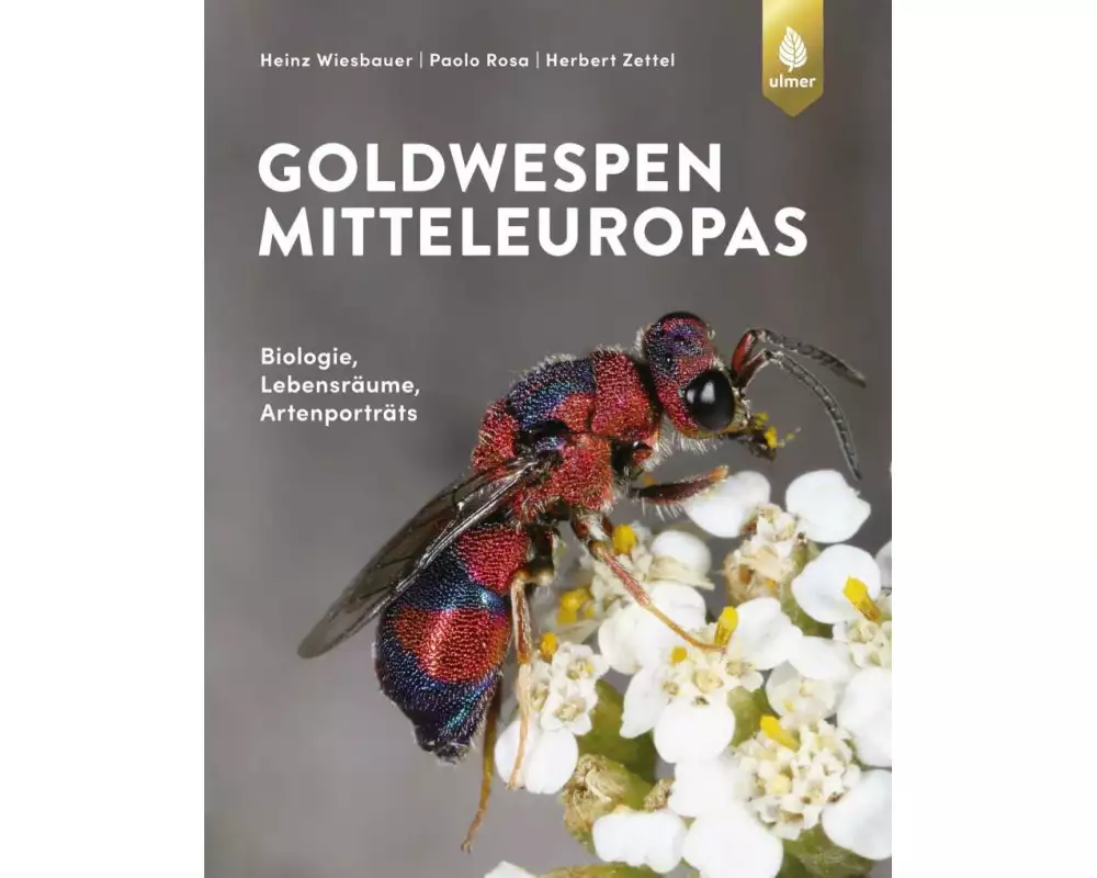 Die Goldwespen Mitteleuropas