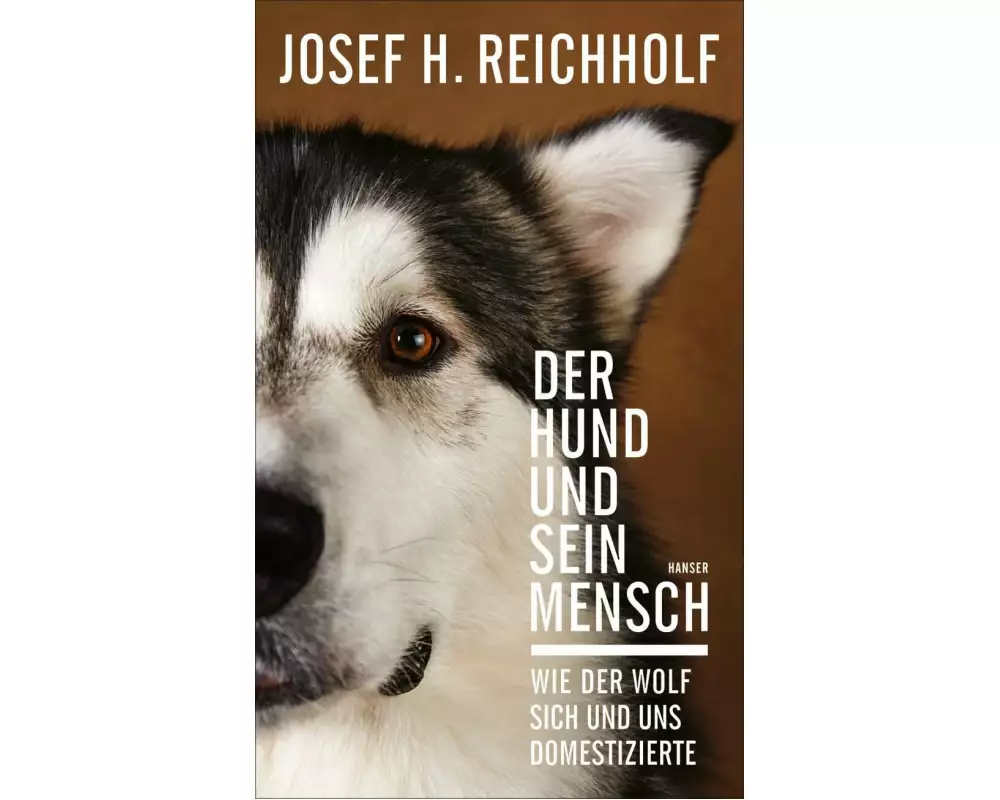 Der Hund und sein Mensch