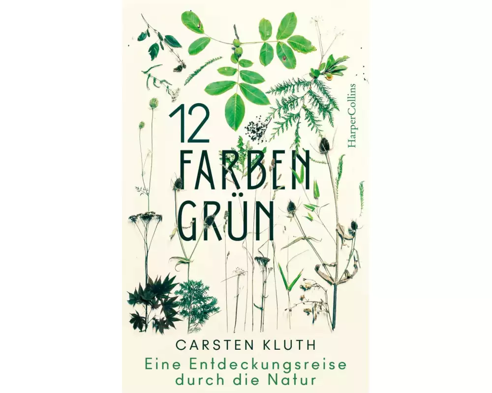 12 Farben Grün. Eine Entdeckungsreise durch die Natur