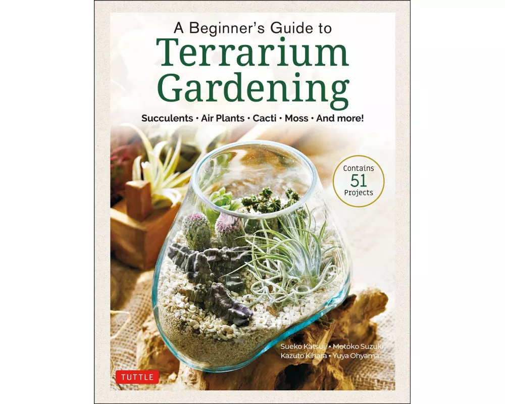 A Beginner's Guide to Terrarium Gardening