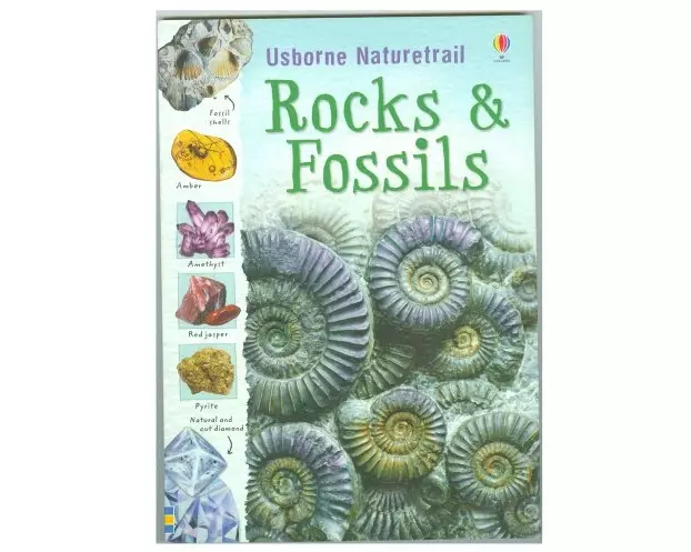 Rocks and Fossils