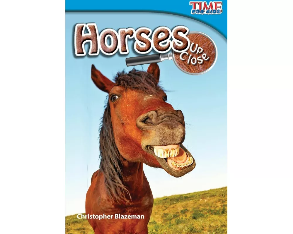 Horses Up Close