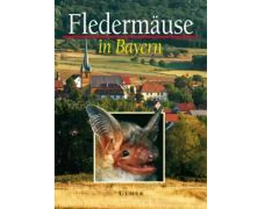 Fledermäuse in Bayern