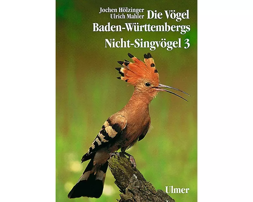 Die Vögel Baden-Württembergs Band 2.3 - Nicht-Singvögel 3